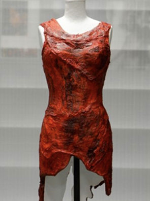 www.therandomnoise.comthefashionLady-Gagas-Fleischkleid-wandert-in-die-Hall-of-Fame