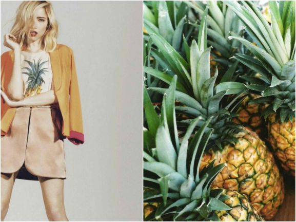 therandomnoise.com_ananas_1